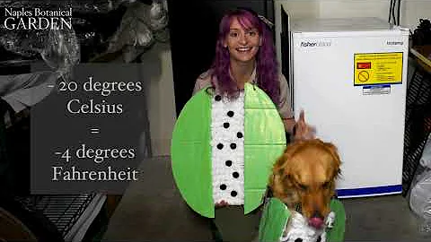 Garden Unseen - Seed Banking with Jessica DeYoung