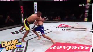 Combo Vine #1539Combo Vine10