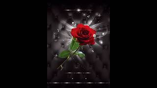 Salsa Romantica / Mix para dedicar