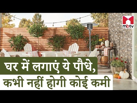 #Vastu, Plants & Prosperity I घर में लगाएं ये 5 पौधे, कभी नहीं होगी कोई कमी #vastu #vastutips