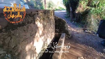 تلاوة عطرة.