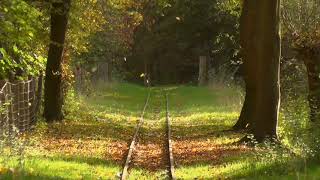 Crazy - Patrick Patrikios