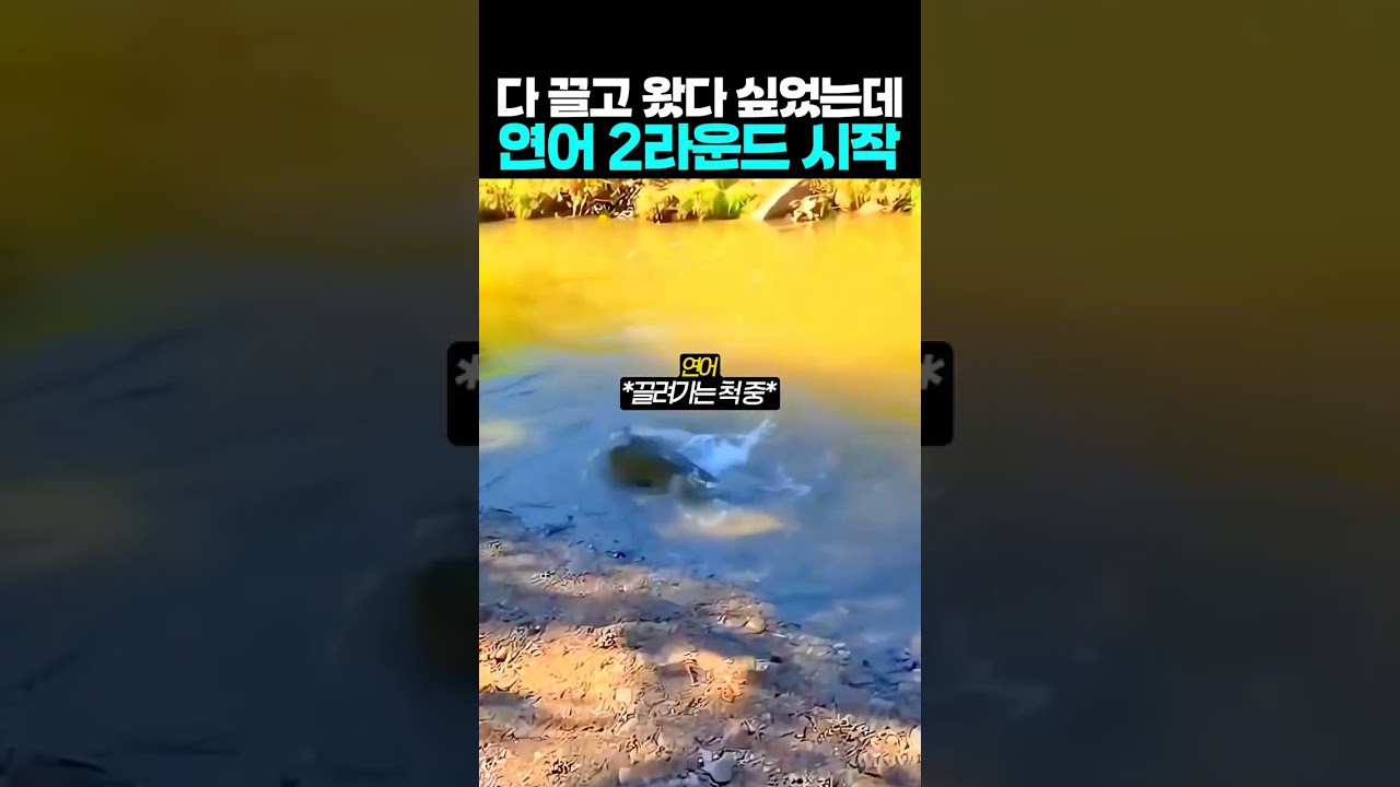 다 끌고 왔다 싶었는데 연어 2라운드 시작