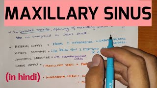 Paranasal Sinuses - 2 | Maxillary Sinus