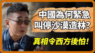 中國沙漠造林突現“樹墳”，緊急叫停的背後真相，為何令西方後怕？#圓桌派 #竇文濤 #馬未都 #梁文道 #許子東