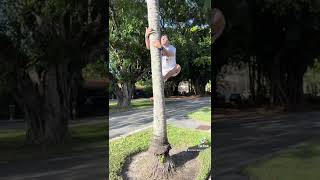 Climbing a Coconut Tree in 10 Seconds