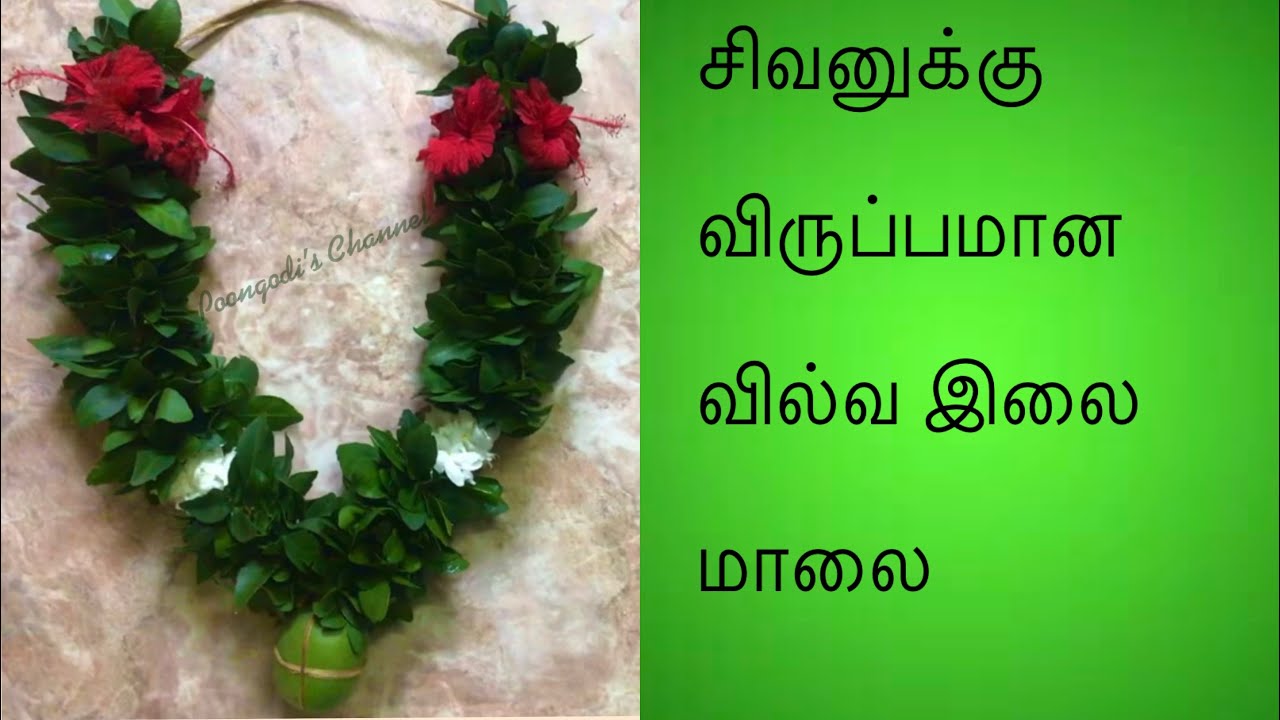        DIY Auspicious Vilva Leaf Garland for Lord Shiva  1