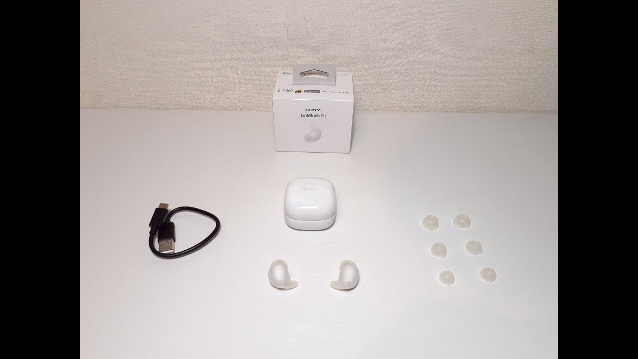 ソニー(SONY) ワイヤレス ノイズキャンセリング イヤホン LinkBuds Fit