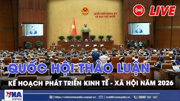 🔴 TRỰC TIẾP: Quốc hội thảo luận kết quả thực hiện kế hoạch phát triển kinh tế xã hội - VNAMedia