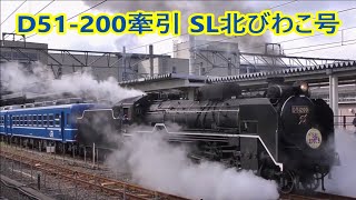 【JR西日本】2019年秋　D51 200牽引 「SL北びわこ号」