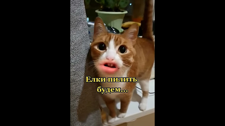 Смешные видео приколы , скоро новый год 2021