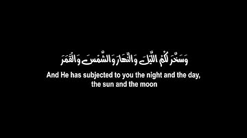 كروما شاشه سوداء القرآن الكريم 🌙وسخر لكم اليل والنهار والشمس...🌙 ماتيسر من سورة النحل