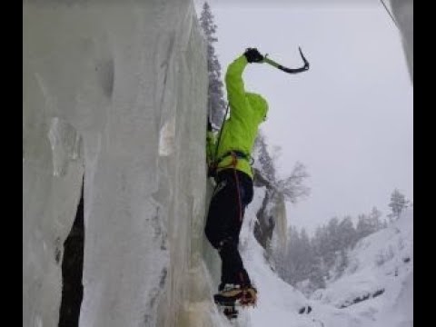 Video: Kelionės Vadovas Po Svalbardo (Norvegija) Poliarinį Ratą