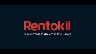 Rentokil | Presentation
