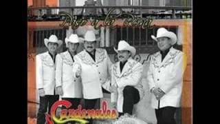 Video thumbnail of "Cardenales de Nuevo Leon-Necesito Decirtelo"