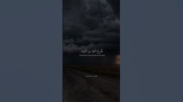 من سورة الروم | القارئ عبد الله الخلف #القرآن_الكريم #quran #قرآن