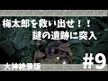 梅太郎を救い出せ!!謎の遺跡に突入【大神絶景版#9】白いオオカミの冒険録