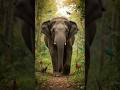 🐘 Story –Haathi aur Chhoti Cheenti”#moralstory#elephantstory#viralstory#kahani #ytshorts #storyvideo
