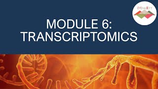 Bioinformatics Workshop 2022 Module 6: Transcriptomics