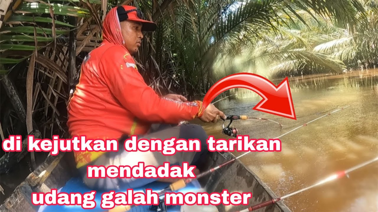 mancing udang galah di selat cina | di kejutkan dengan tarikan ganas udang galah monster