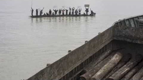 Illegal logging campaign