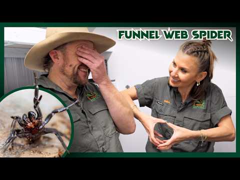 Breeding the World's DEADLIEST Spiders | Venom Diaries