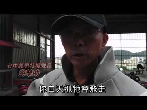 小看吸塵器 女王蜂栽了--蘋果日報 20140827