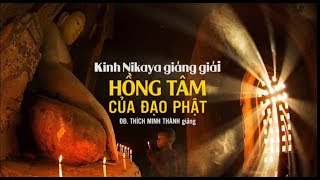 Kinh NIKAYA Giảng Giải -  Hồng Tâm Của Đạo Phật - ĐĐ.Thích Minh Thành