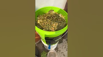 Biến rác nhà bếp thành phân bón hữu cơ | Ủ rác #trongrausach