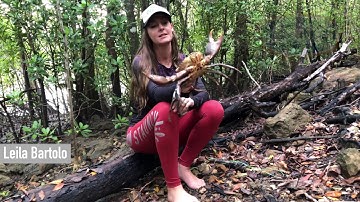 Mud Crab Tying Technique - BCF