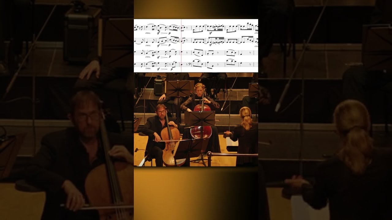 Beethoven: Symphony No. 2 – II. Larghetto (#shorts) - YouTube