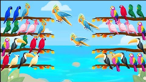 Bird Sort - Color Puzzle Trailer New Update 2023