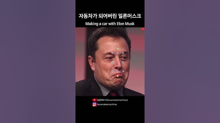 자동차가 되어버린 일론머스크
