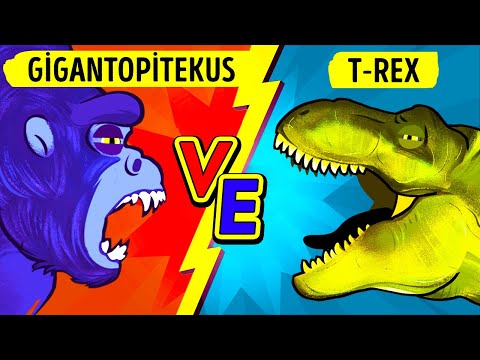 Gerçek King Kong Ve T-Rex: Gerçek Titanların Karşılaşması