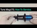 Tune Mag 170. Full Service Instructions!