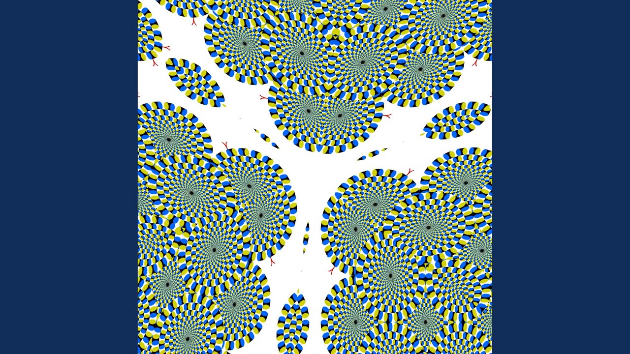 Revealing the hidden, for those who can see bekijken op YouTube