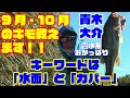 【公式】青木大介 霞水系 おかっぱり / 9月10月に釣るためのメソッド満載！