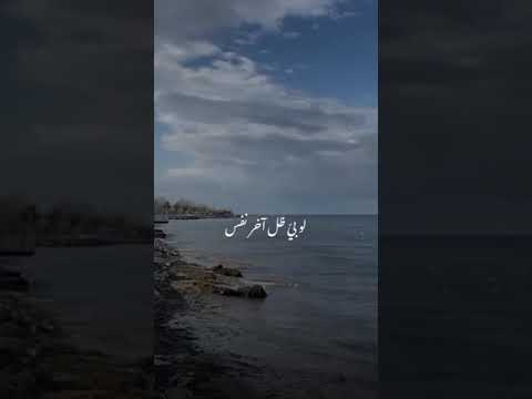 نبيل الاديب اخر وعد