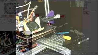 LR 2.5 Custom 3D printer ABL test