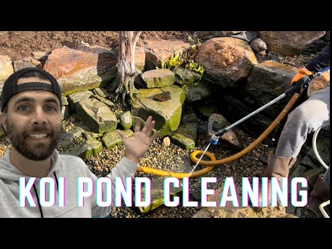 Pond Cleaning in Edmond, OK