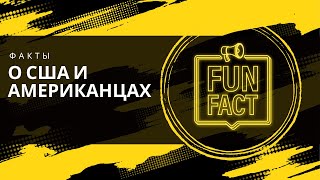 Интересные факты о США и американцах глазами иностранца | Как живут Американцы