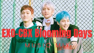 Mix 3 - (Dec 2023) (K-POP) EXO-CBX (엑소-첸백시) Blooming Days (花요일) Album Mix