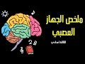 جديد-  الجهاز العصبي - شرح مفصل | الثالثة اعدادي