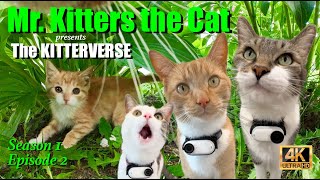 Mr. Kitters The Cat Presents The Kitterverse Season 1 Episode 2