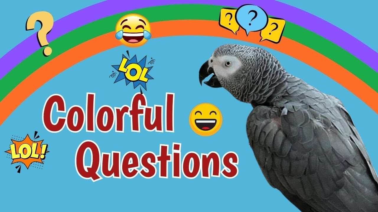 Colorful Questions and Good Times with Einstein - YouTube
