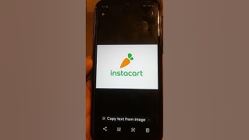 Instacart Takes Ebt Cards