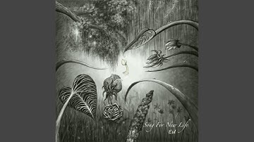 Song for New Life