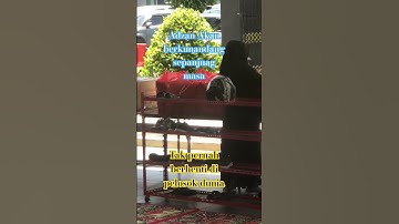Suara ini Tak Akan pernah berhenti sampai hari kiamat, Marilah sholat #jangkauanluas #motivasi #fyp