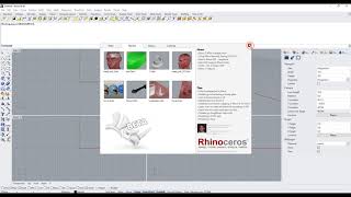 Migrate Mesh2Surface to Rhinoceros 7
