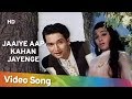 Jaaiye aap kahan jayenge  mere sanam 1965  asha parekh  biswajit chatterjee  asha bhosle